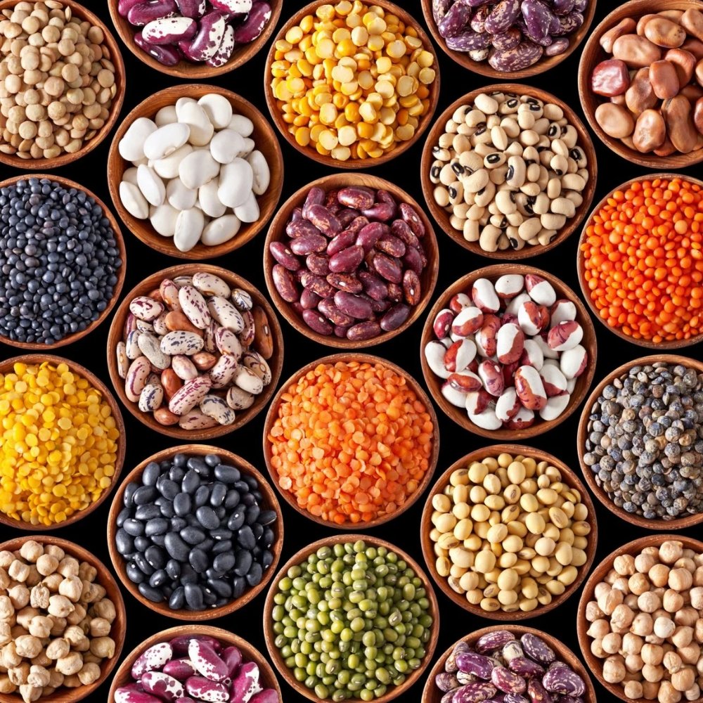 NUTRITIOUS PULSES